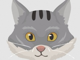 猫咪做完绝育多久可以吃东西 - 宠物医生专业解答