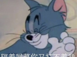 猫咪体内驱虫药：全面指南与推荐