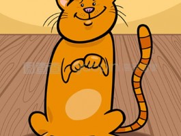 天津猫咪领养中心：为流浪猫找到温暖的家