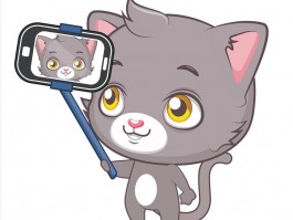 猫咪一抽一抽的：揭开背后的真相