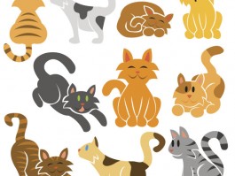 2个月小狗有狂犬病吗？——揭开真相，确保宠物健康