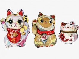 狗狗缝针多少钱：宠物医疗费用解析
