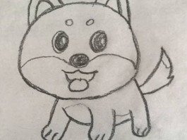 三个月金毛能吃啥：幼犬饮食指南