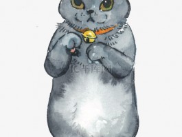 猫咪嘴巴小水泡：原因、症状与治疗方法