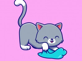 宠物白眼屎是为什么原因