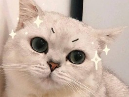 七个月的金毛体重：了解金毛成长中的关键指标