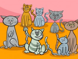 猫咪不排便：原因分析与应对措施