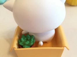 猫咪咬笼子：原因与解决方案
