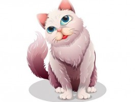 猫咪每天吃多少猫粮：科学喂养指南