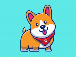 一个月的阿拉斯加有多重：探索幼犬成长的关键数据