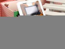 两个月大的泰迪怎么养：新手养犬指南