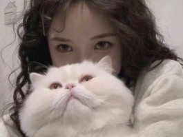 狗狗一般多久洗一次澡？