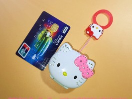 萨摩两个月：幼犬养护指南