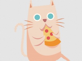 2个月的小猫怎么洗澡 - 宠物医生专业指南
