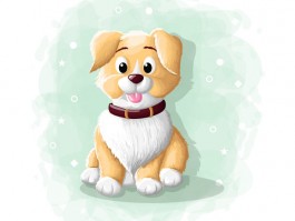 猫咪多久可以洗澡 - 宠物医生的建议