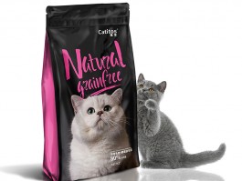 猫咪日常护理：让你的猫咪健康快乐成长