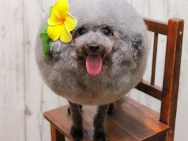 、