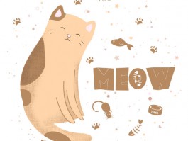 2个月比熊幼犬：健康成长的关键时期