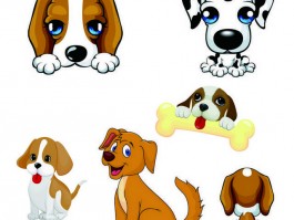 玩具泰迪几个月定型：了解泰迪犬成长关键期
