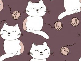 猫肚皮松弛什么原因