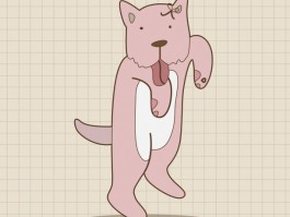 领养小猫咪：开启温馨生活的第一步