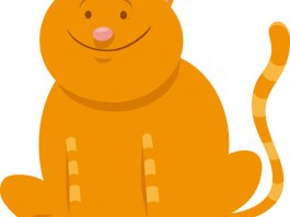 俩个月的泰迪怎么喂养：科学喂养指南