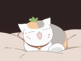 三个月小猫拉软便带血：原因与应对措施