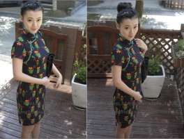 两个月小猫拉肚子怎么办：宠物医生的专业建议