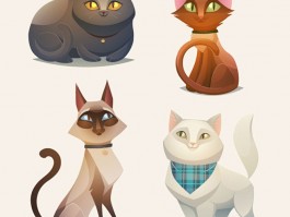 小猫一个月打疫苗吗？——揭开猫咪疫苗接种的谜团