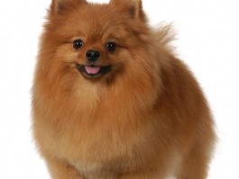 孕妇几个月生孩子：孕期时间解析