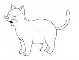 缅因猫五个月没爆毛：原因分析与应对措施