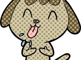 猫咪领养长沙：开启与毛孩子们的温馨相遇