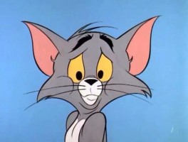 猫咪能吃酸奶吗？揭秘猫咪与酸奶的真相