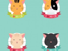 宠物猫跑来跑去是什么原因