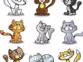 猫咪免费送：爱心传递，温暖你我