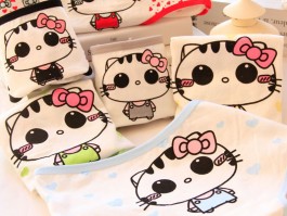 猫咪体外驱虫用什么药：为您全面解析