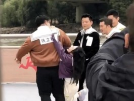 猫咪耳朵有血：原因、诊断与应对措施