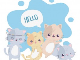 一个月小狗可以洗澡吗？新手宠物主人必看指南