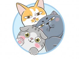 狗狗洗澡频率：如何为您的宠物制定合适的洗澡计划？