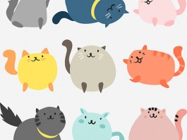 2个月金毛多重：了解幼犬成长关键期体重