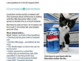 猥琐的狗狗：揭秘其行为背后的原因