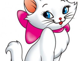 猫咪流脓性眼泪：原因、诊断与治疗