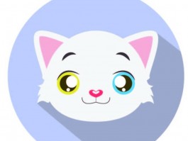 五个月龙猫多重：了解龙猫成长关键期体重变化