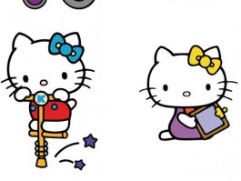 猫几个月能养？新手养猫指南