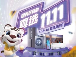 一个月小猫驱虫：新手宠物主必修课