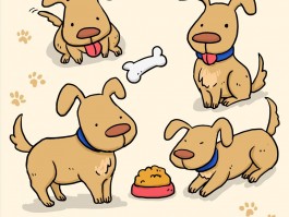 猫咪弓形虫检查多少钱：了解费用与必要性