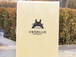 猫咪生宝宝脐带：了解新生猫咪脐带护理要点