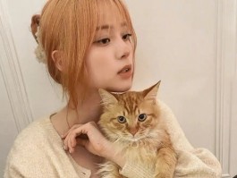 猫咪尾巴弯曲：原因、症状与应对措施