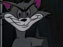 2个月小猫能喝酸奶吗？——小猫饮食指南