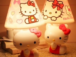 猫咪肚子瘪：原因、诊断与应对策略
